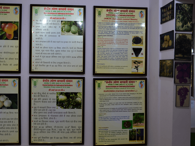 Museum Section Icon 1