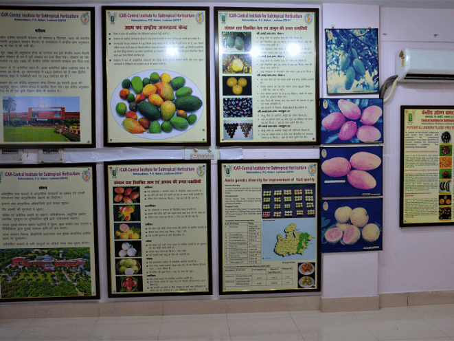 Museum Section Icon 1