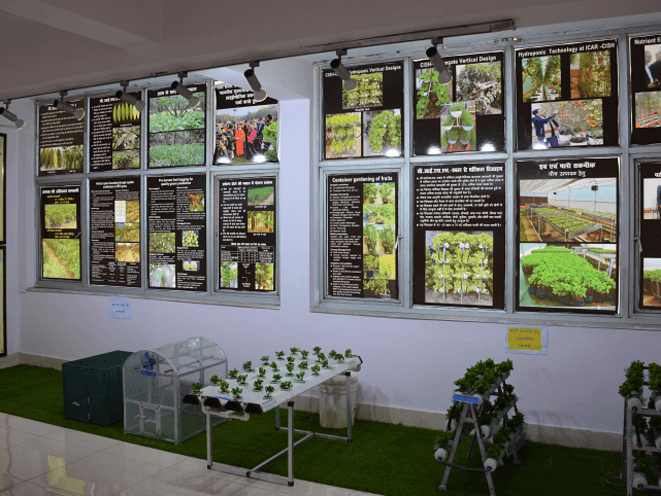 Museum Section Icon 1