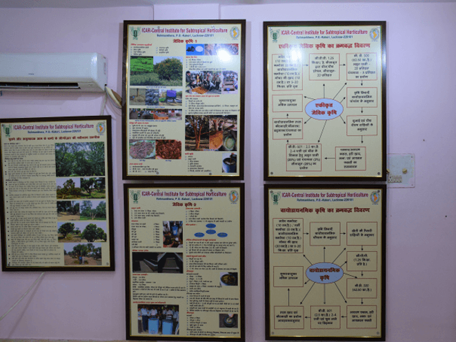 Museum Section Icon 1