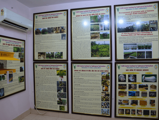 Museum Section Icon 1