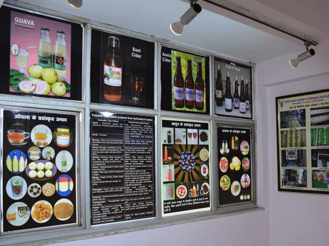 Museum Section Icon 1