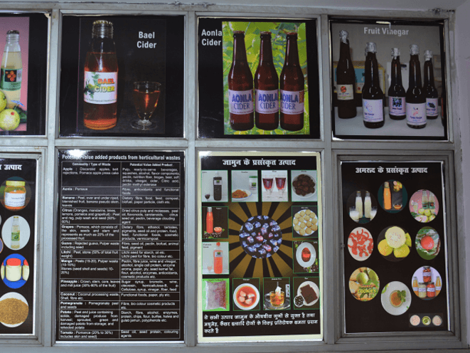 Museum Section Icon 1