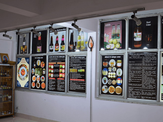 Museum Section Icon 1