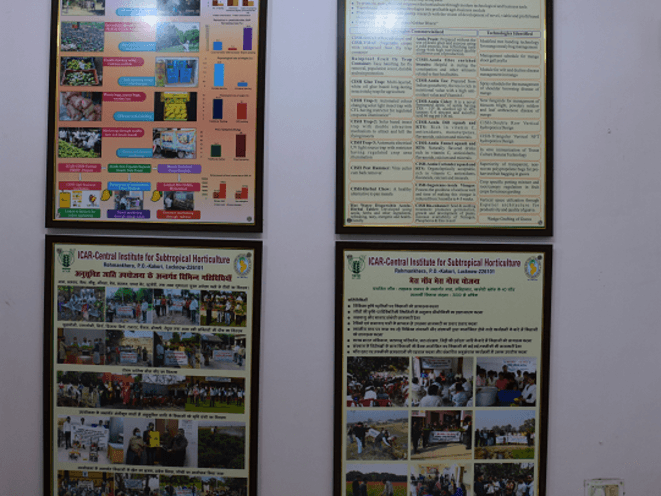 Museum Section Icon 1