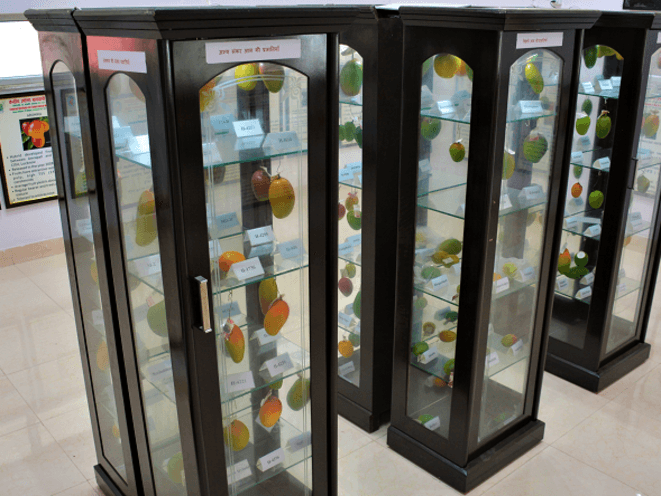 Museum Section Icon 1