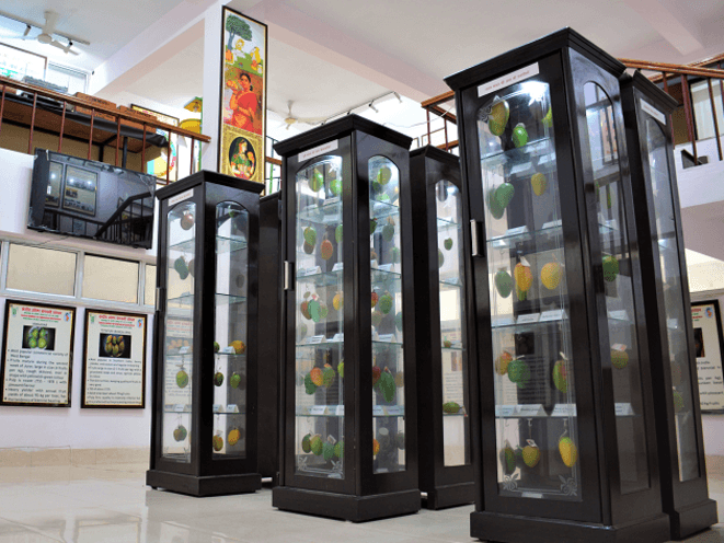 Museum Section Icon 1