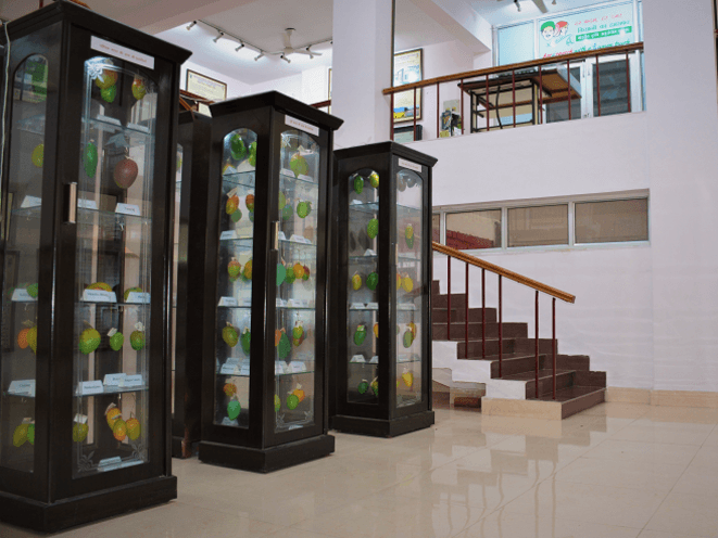 Museum Section Icon 1