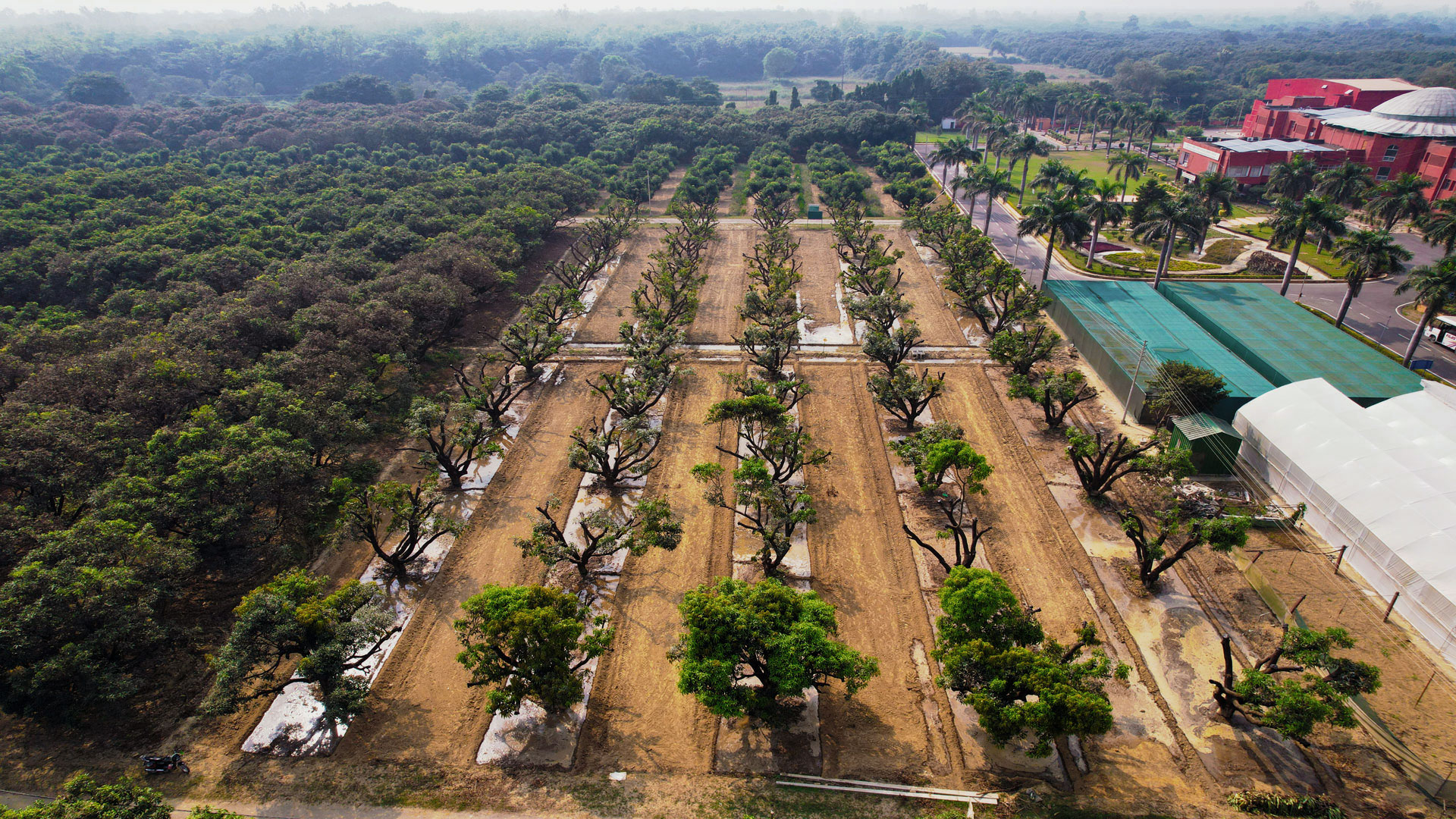 ICAR | Central Institute for Subtropical Horticulture