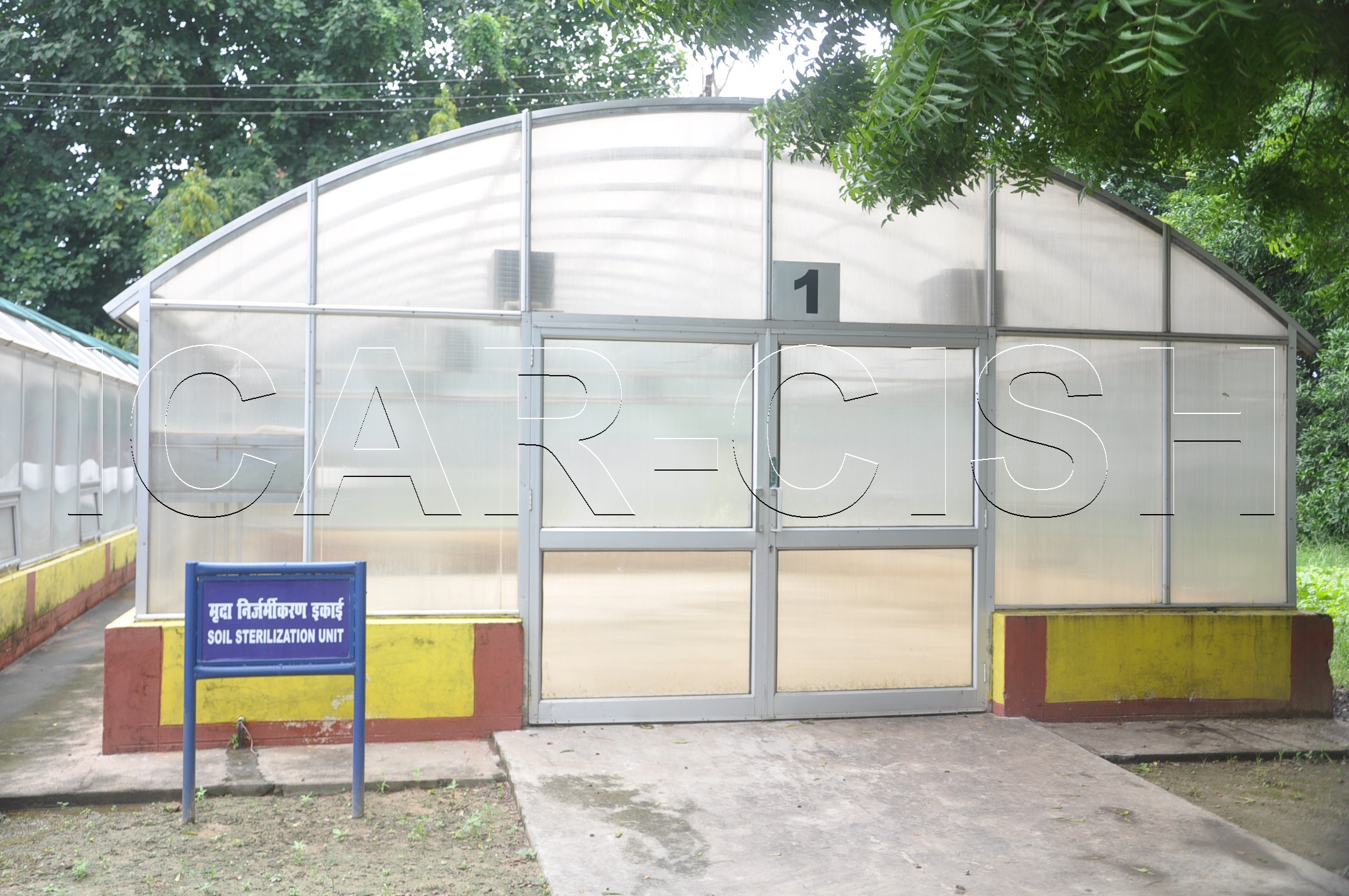 ICAR | Central Institute for Subtropical Horticulture